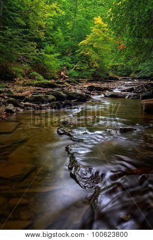 Brandywine Creek Falls