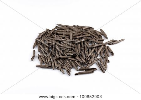Seppia Pasta Fusilli