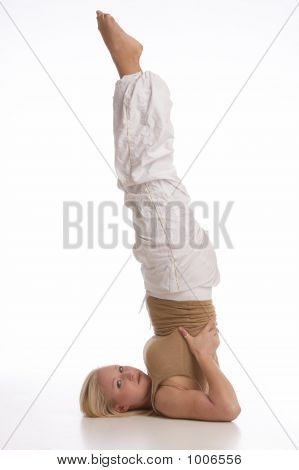 Exercices