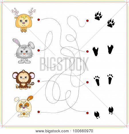 Deer, Rabbit, Monkey And Dog With Their Traces Of Foot