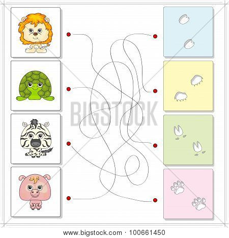 Lion, Turtle, Zebra And Pig With Their Traces Of Foot