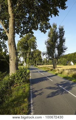 Road With Trees And Blue Sky In The Ruhr Area