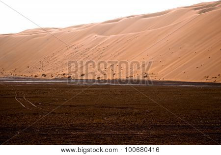 Amazing sand dune formations in Liwa oasis United Arab Emirates