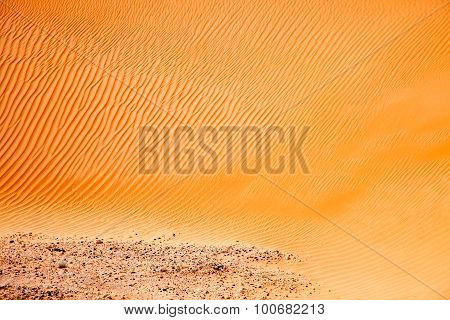 Wind created patterns in the sand dunes of Liwa oasis United Arab Emirates