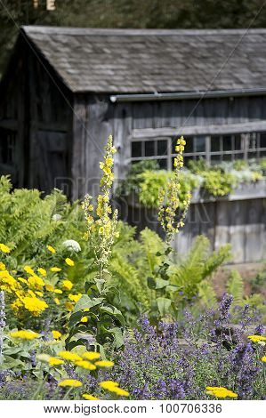 Potting Shed with Flowerbed