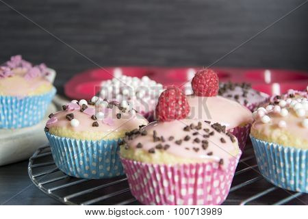 Muffins