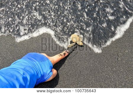 Pointing At A Bay Turtle
