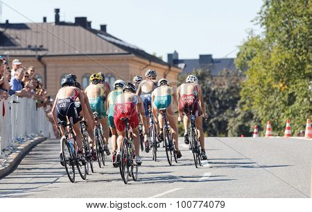 Rear View Of A Group Of Triathlete Cyclists