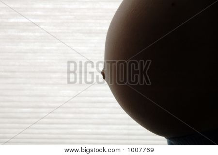 Preg2Bsp