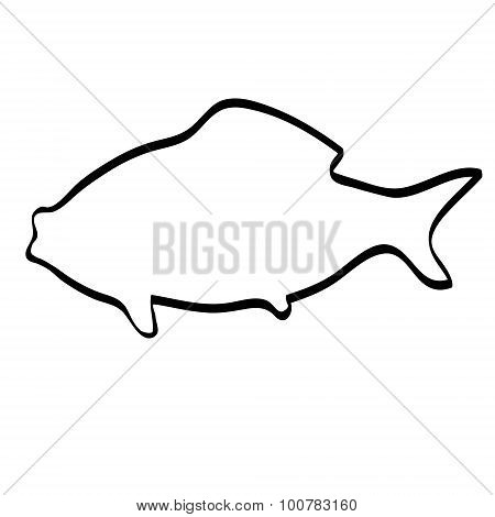 Contour of a fish