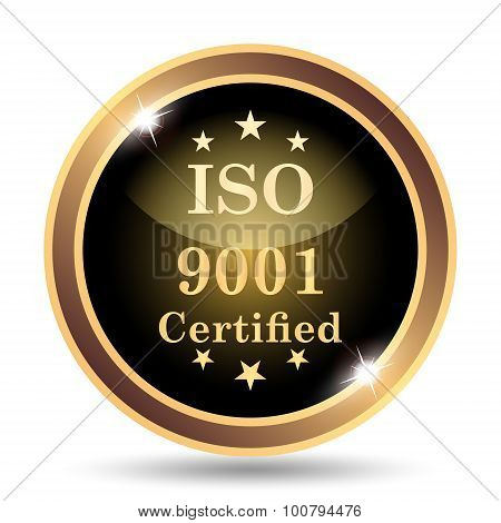 Iso9001 Icon