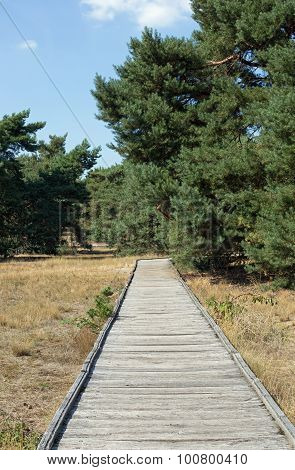Planks way