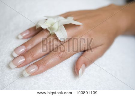 womans hand and orchid