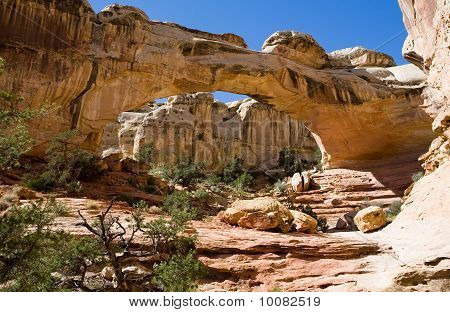 Hickman Bridge von vorne