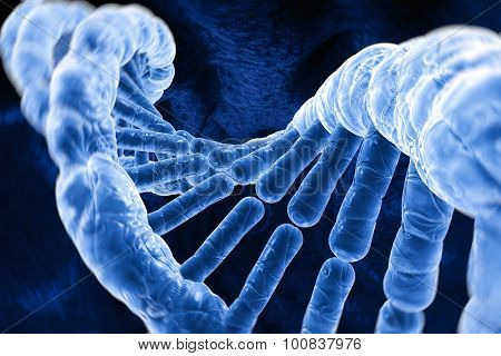 3d Illustration Human Dna Strand. Dna, Or Deoxyribonucleic Acid, Is The Hereditary Material In Human