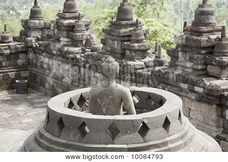 Buddah posterior