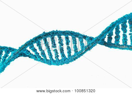 3d Illustration Of The Dna Of Human Cells Isolated On White Background