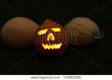 Autumn Helloween Pumpkin