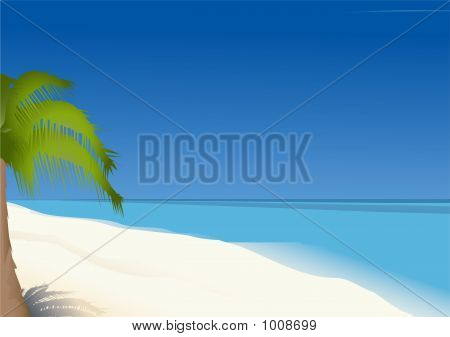 Palmy na plaży