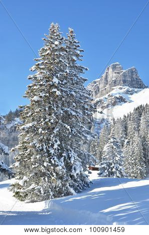 Braunwald, Switzerland
