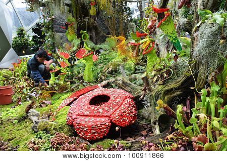 Cloud Forest At Gardens By The Bay In Singapore