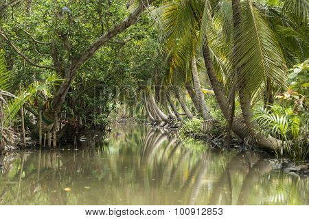 Asia Thailand Samut Songkhram Tha Kha Landscape