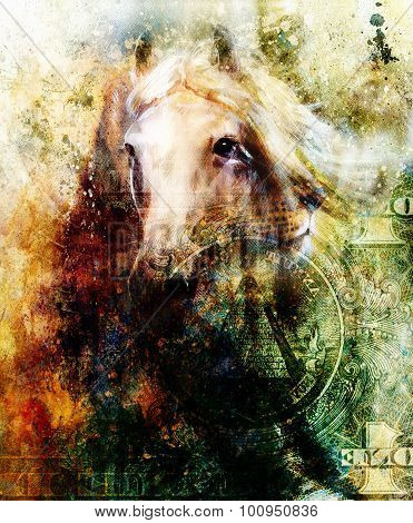 Horse and lion heads, abstract ocre background, with one dollar collage. texture background