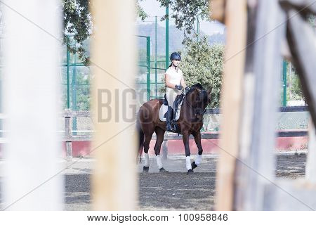 Young Woman Riding A Horse.