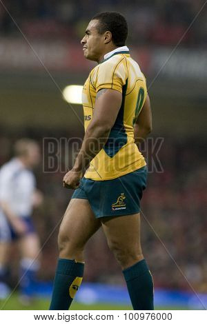 CARDIFF, WALES. 28 NOVEMBER 2009. Will Genia of Australia  while playing in the Invesco Perpetual International Rugby Union match between Wales and Australia at the Millennium Stadium. 