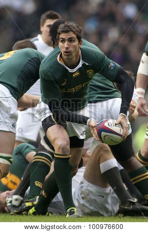 TWICKENHAM LONDON, 27 NOVEMBER 2010. South Africa's Ruan Pienaar,   during the Investec International match between England and South Africa at Twickenham Stadium Middlesex England. 