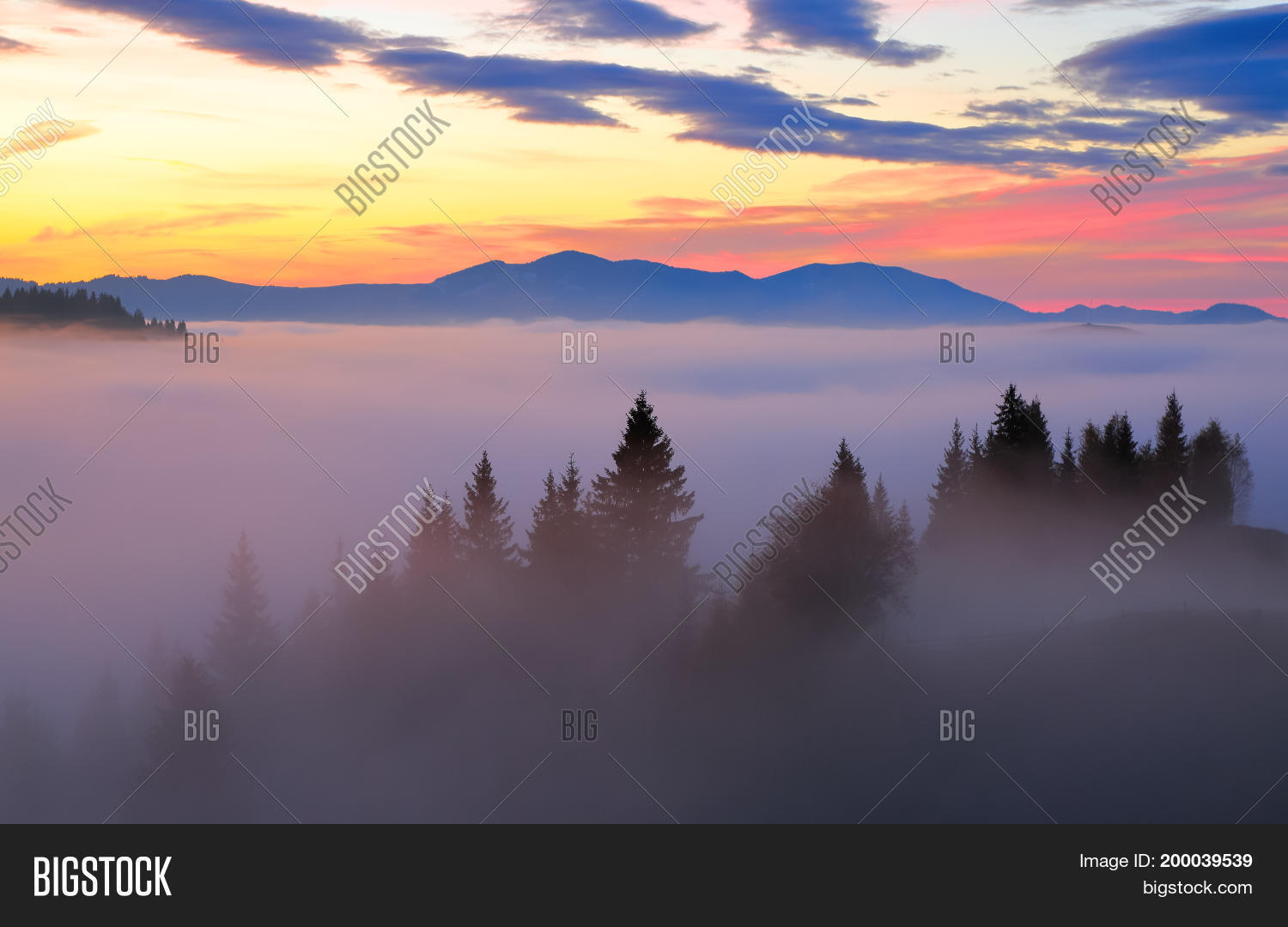 Image Preview