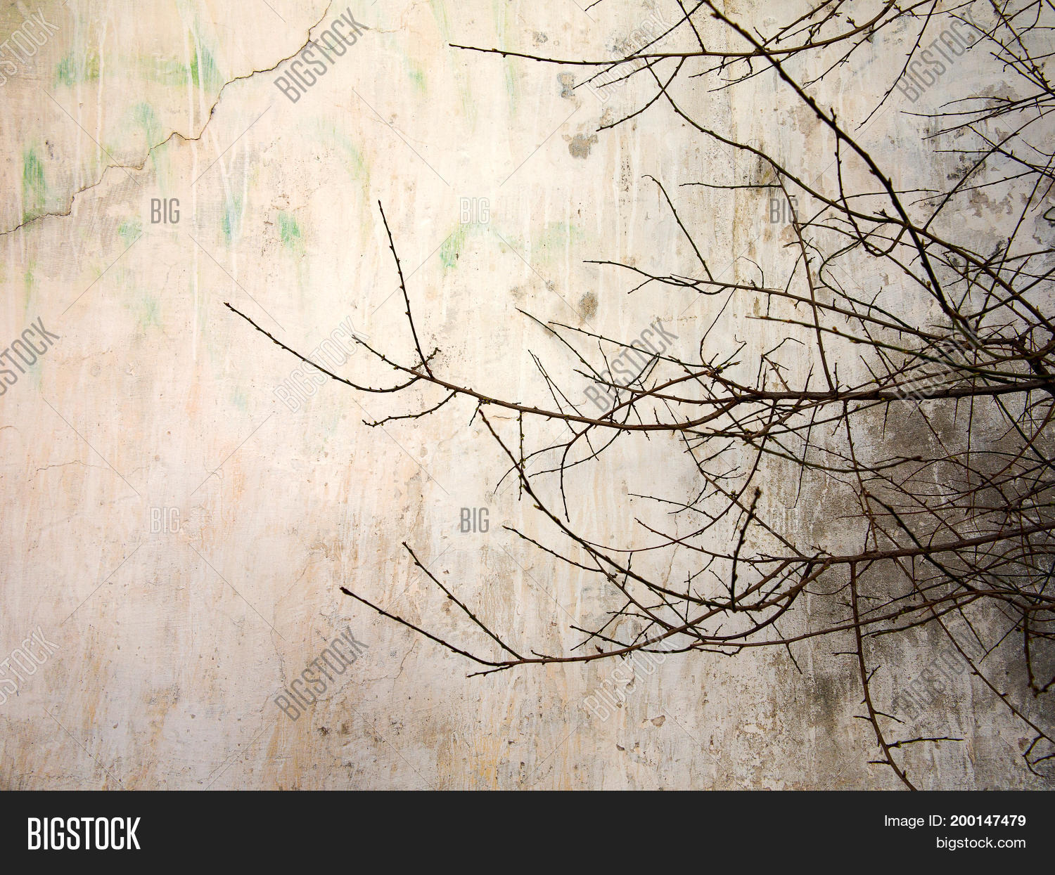 Creative Vintage Image & Photo (Free Trial) | Bigstock