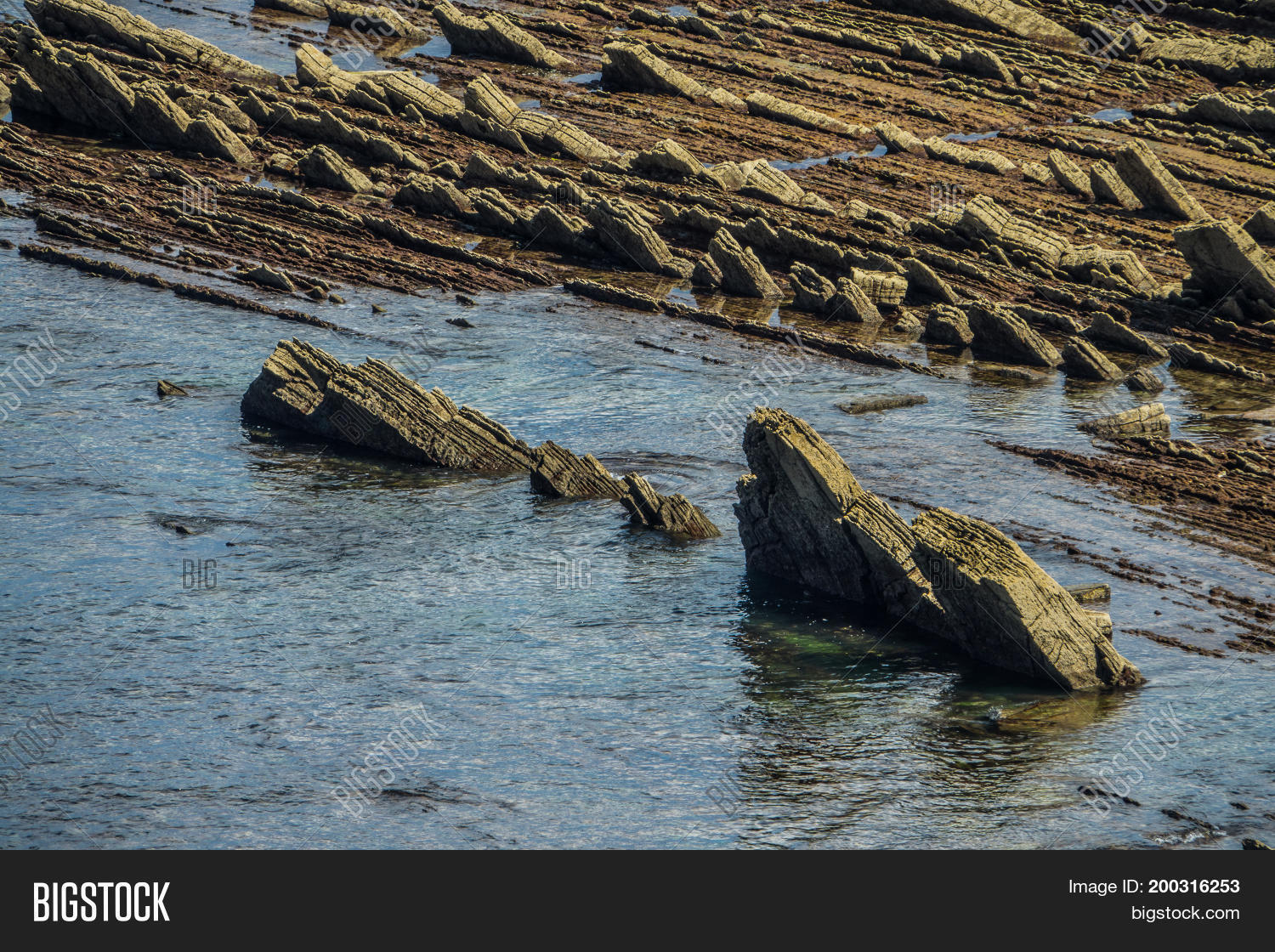 Image Preview