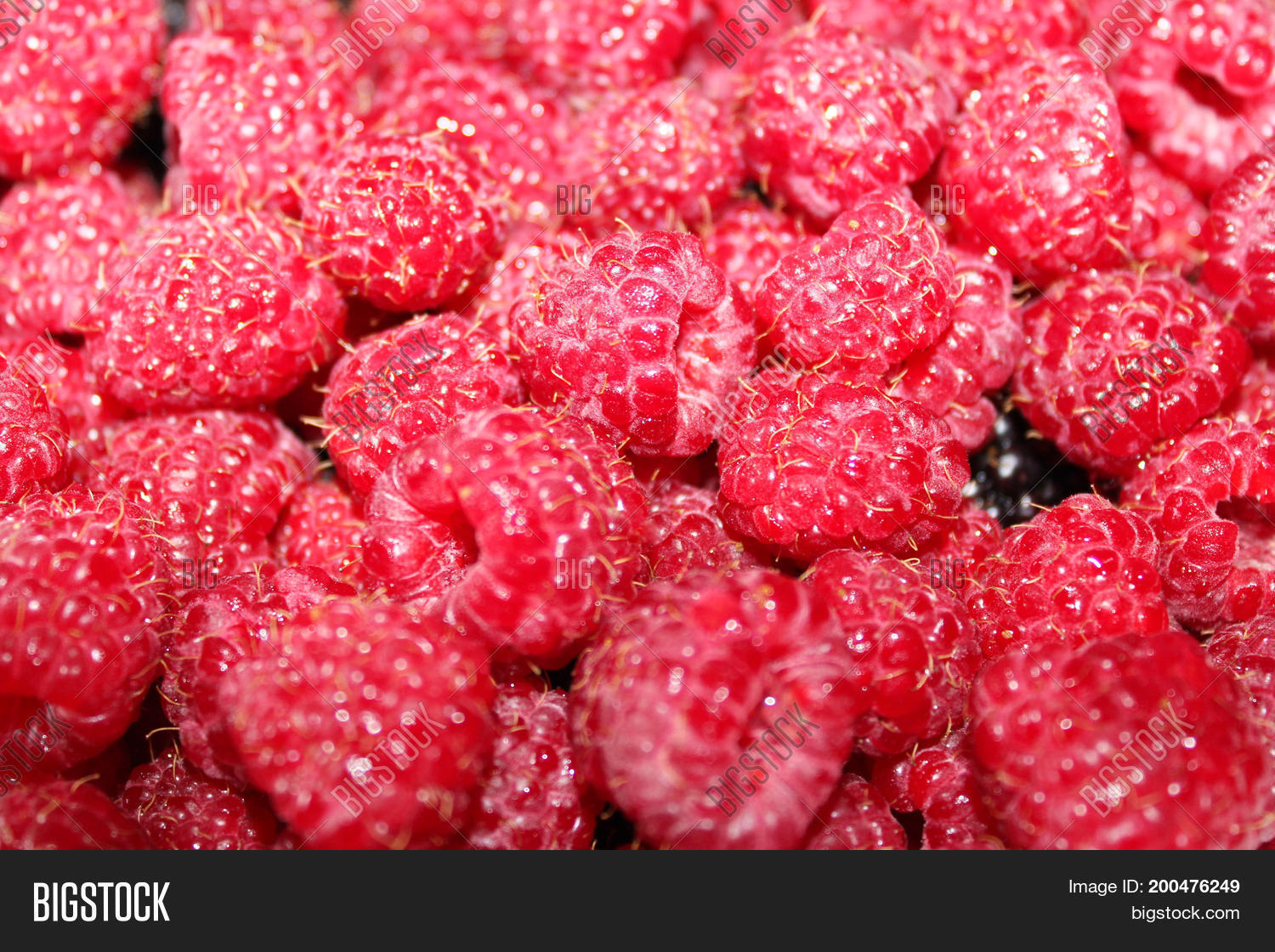 Image Preview