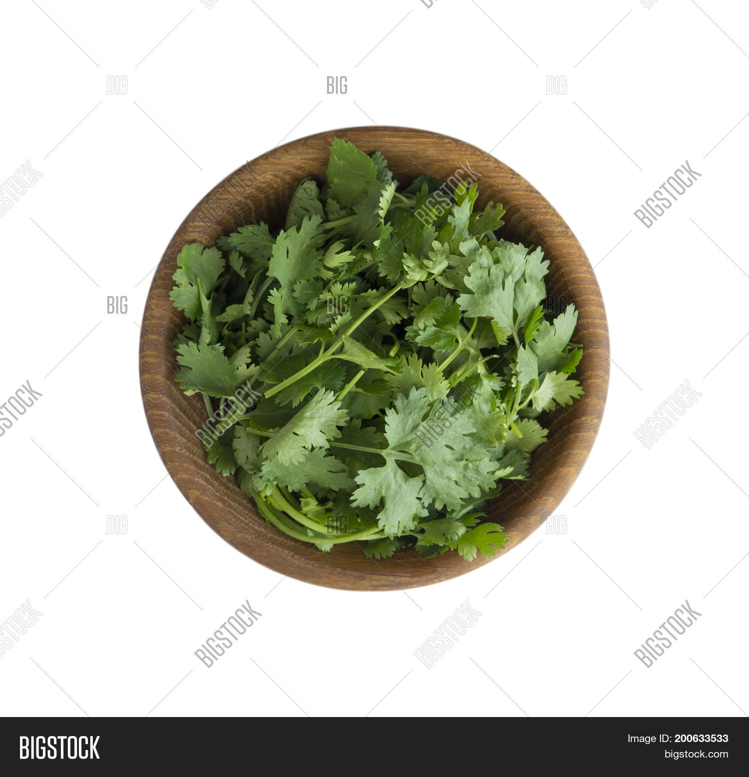 Fresh Coriander Leaves Image & Photo (Free Trial) Bigstock