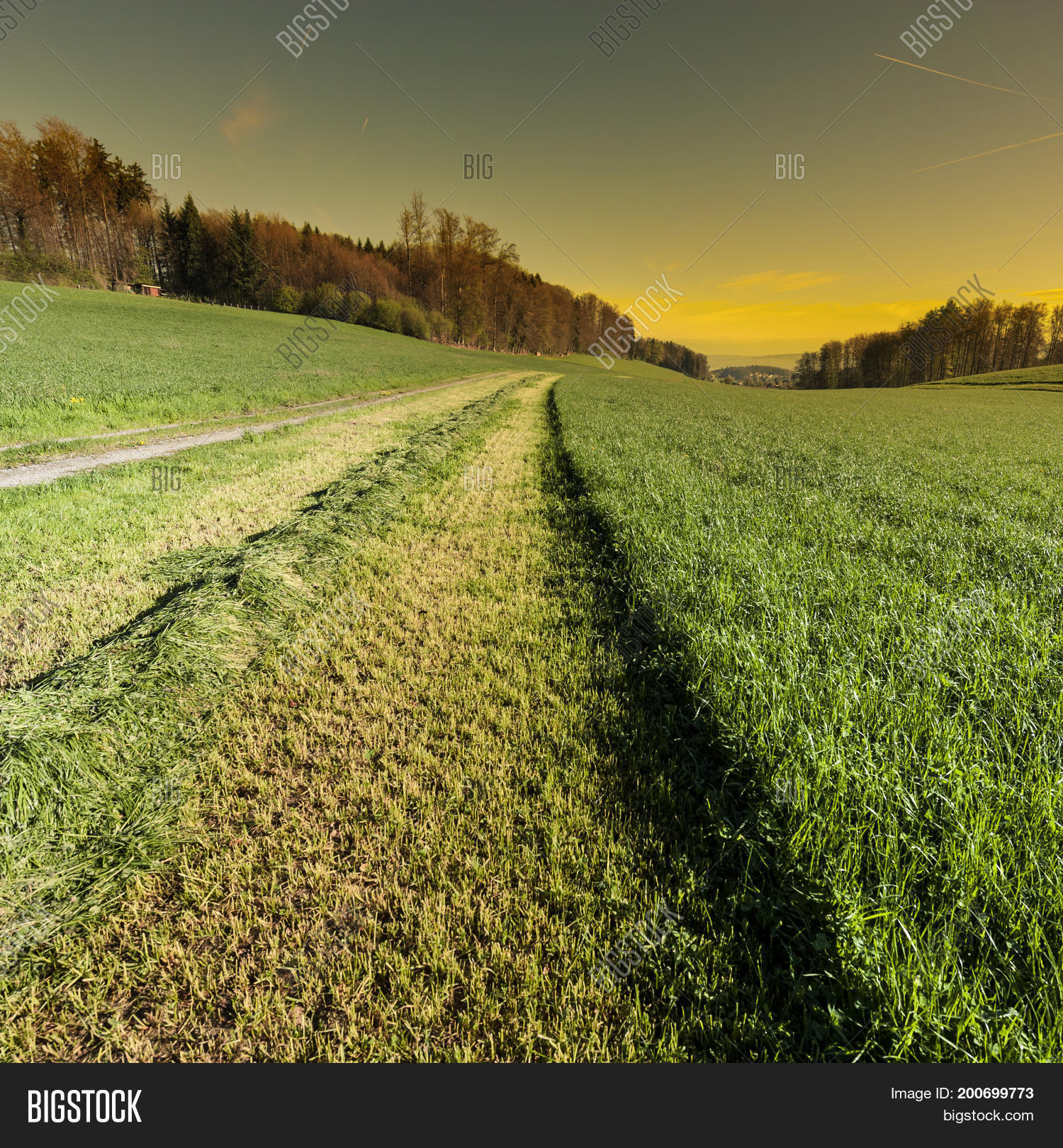 Image Preview