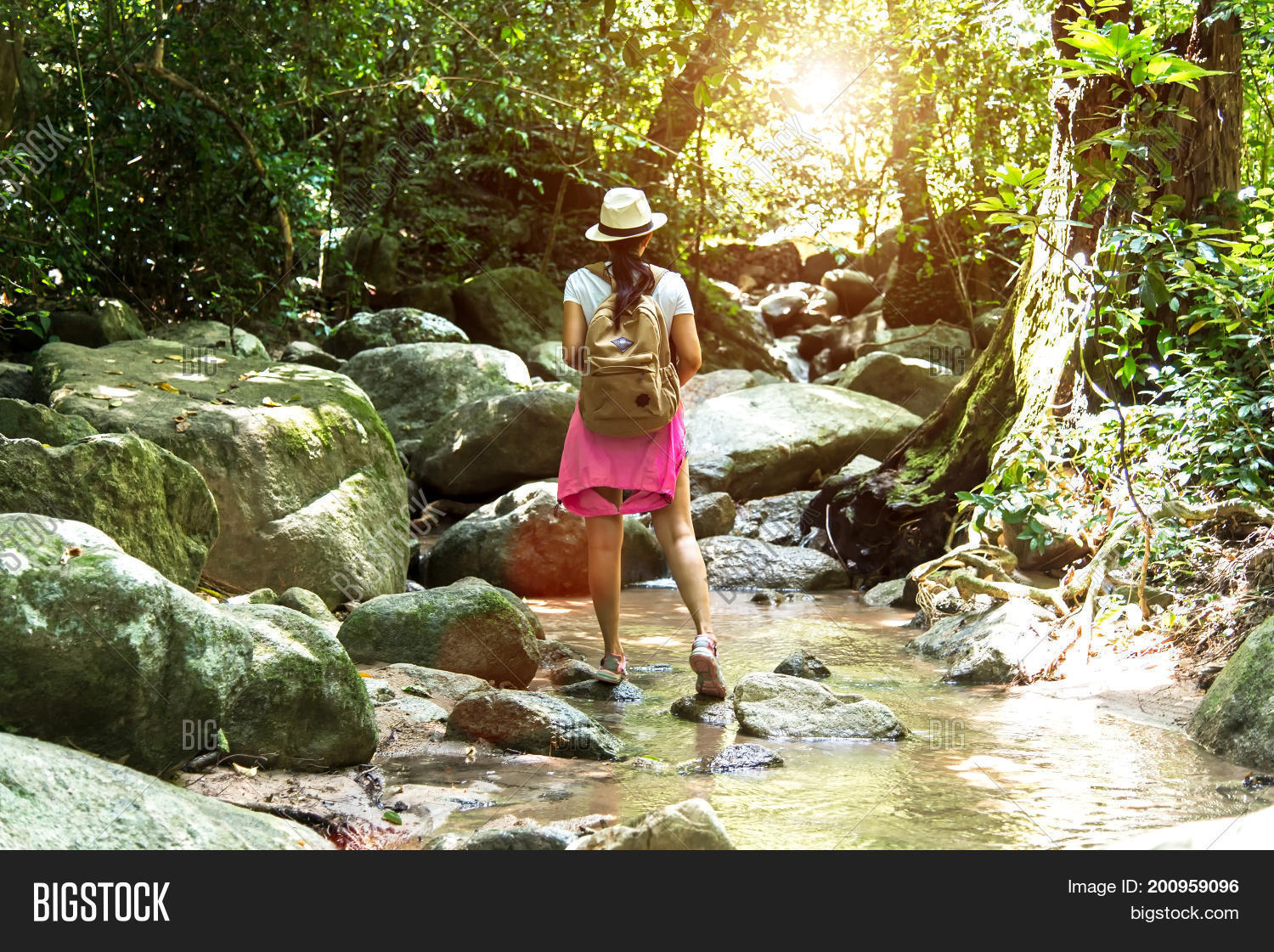 Image Preview