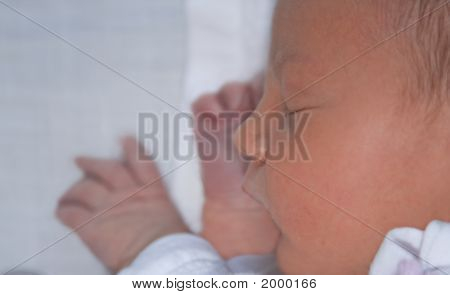 Sognando il mondo 3
