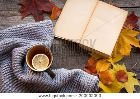 Mug of tea cozy knitted scarf autumn leaves open book and pumpkin on wooden board. Autumn still life vintage style. Flat lay.