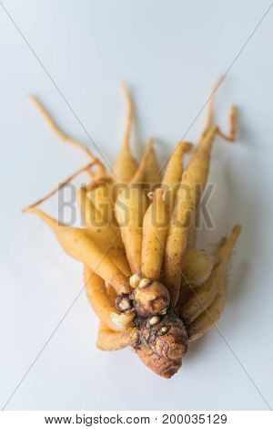 ingredient of thailand spices called galingale on white background.