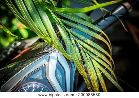 Bike Break And Rudder With Palm Leaf On It. Tropical Island Of Bali, Indonesia.