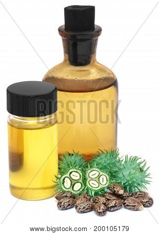 Green and dried castor beans with essential oil
