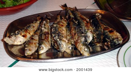 Sardine schotel