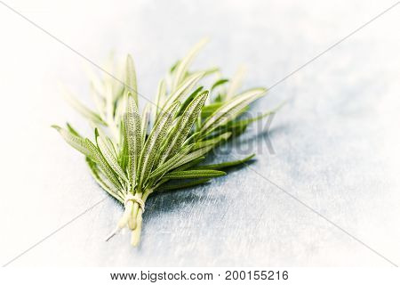 Fresh Rosemary
