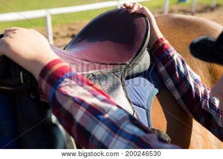Close-up of girl adjusting saddle on horse in ranch