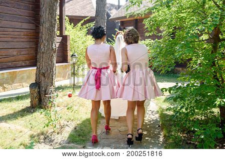 Bridesmaids in pink dresses holding bride's veil while they walking together in the park free space back view. Wedding preparation