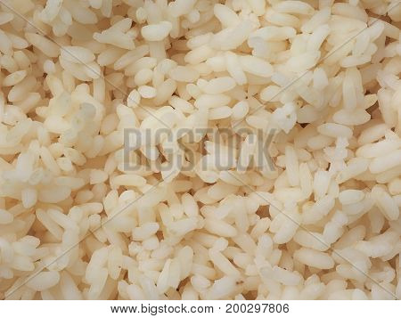 Carnaroli Rice Food