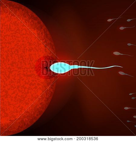 Insemination of human egg cell by sperm cell. Sperm and egg cell microscopic view. Vector illustration