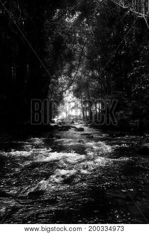 Pha Dok Seaw Waterfall in Chiang Mai Thailand