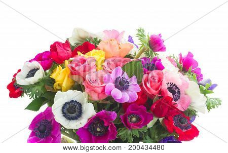 Fresh colorful Anemones and roses flowers bouqet isolated on white background